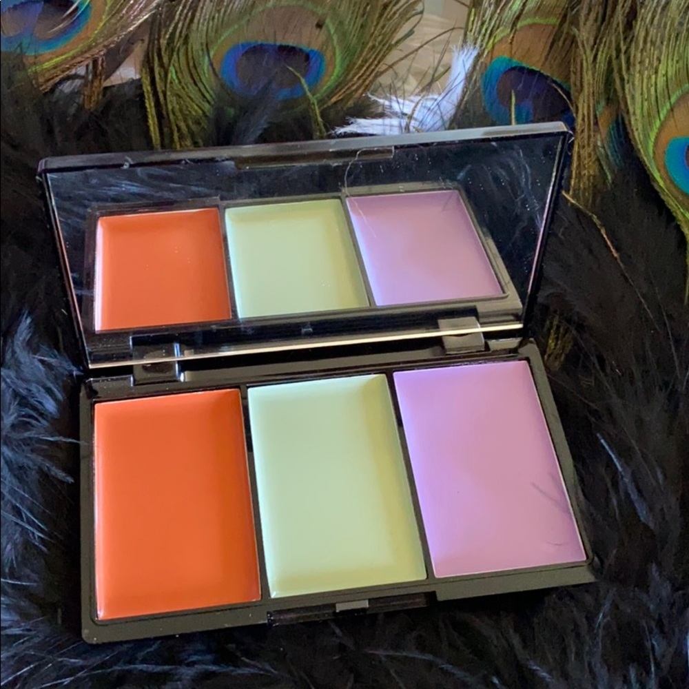 Bellapiere Pro Concealer Palette